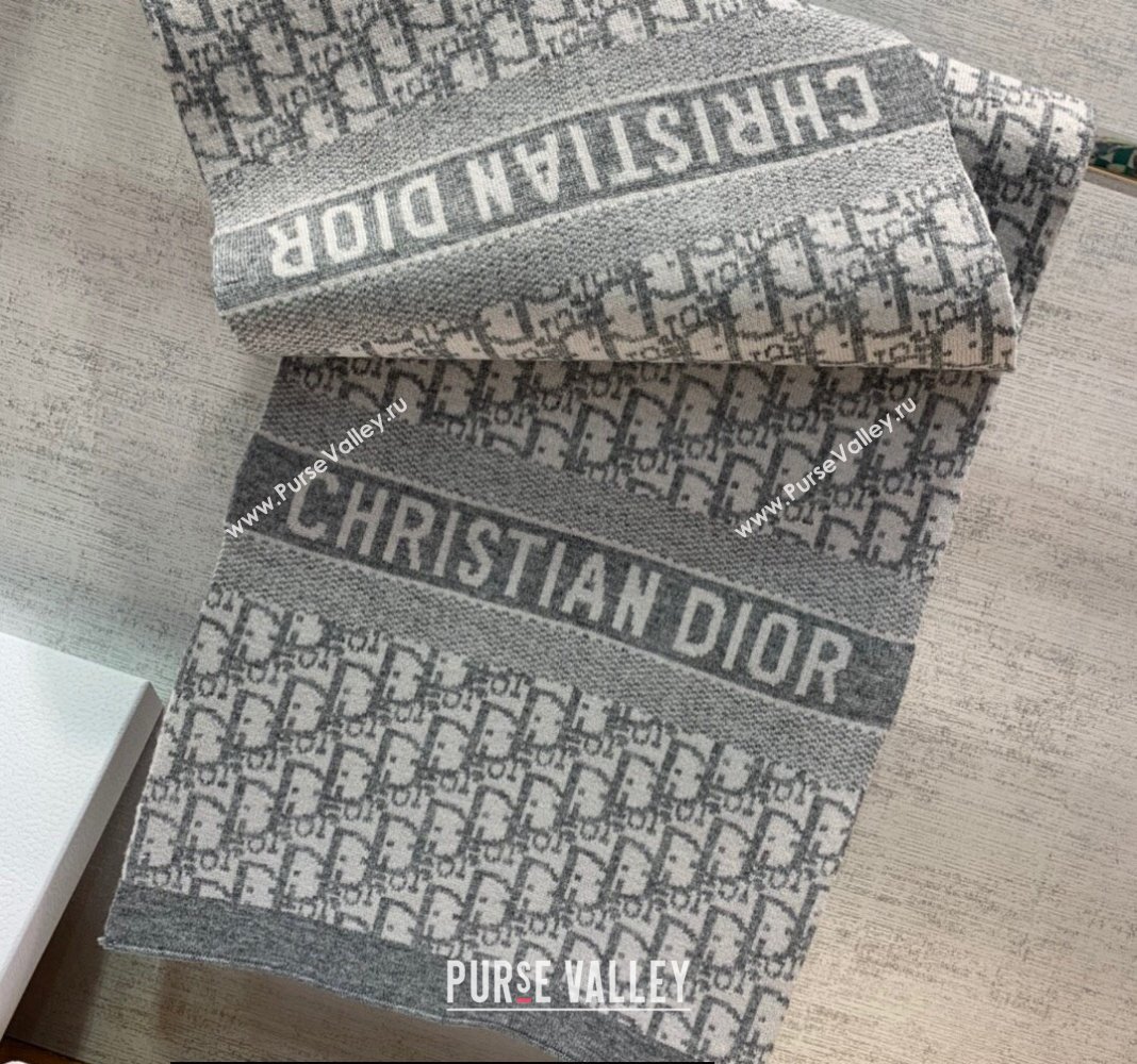 Dior Oblique Scarf in Gray Cashmere 35x200cm 2024 (weinisi-23121109)
