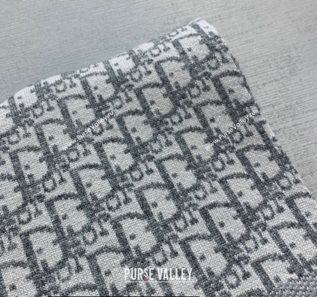 Dior Oblique Scarf in Gray Cashmere 35x200cm 2024 (weinisi-23121109)