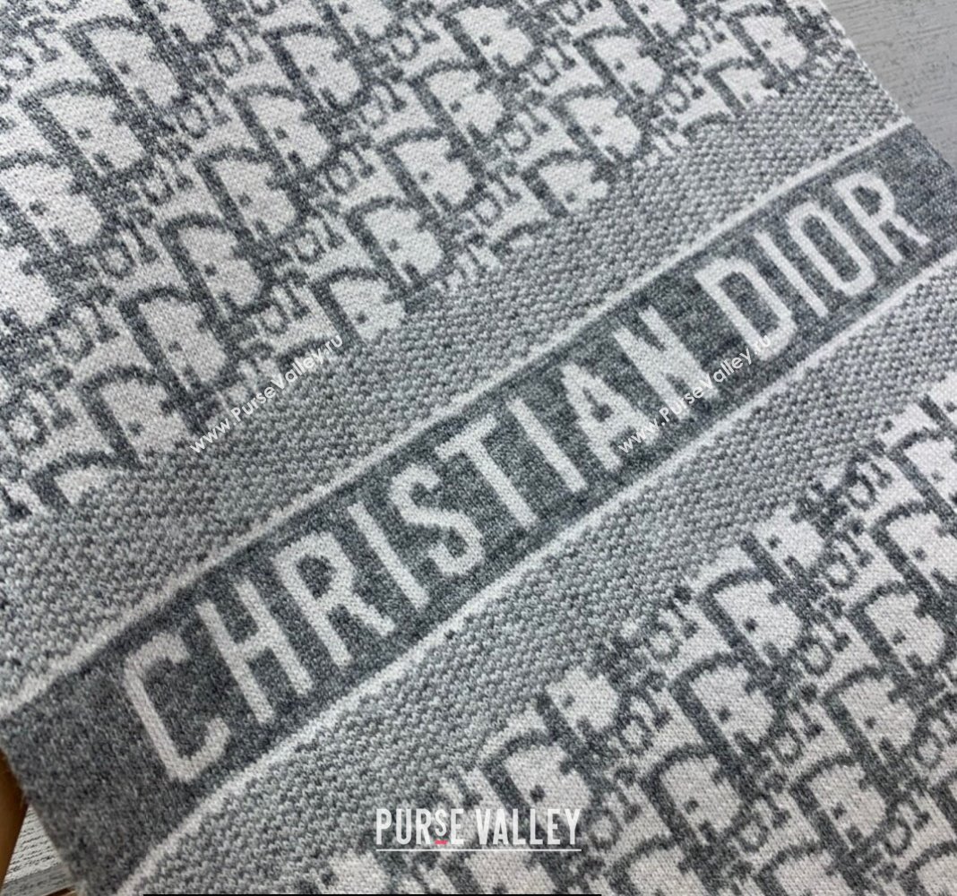 Dior Oblique Scarf in Gray Cashmere 35x200cm 2024 (weinisi-23121109)