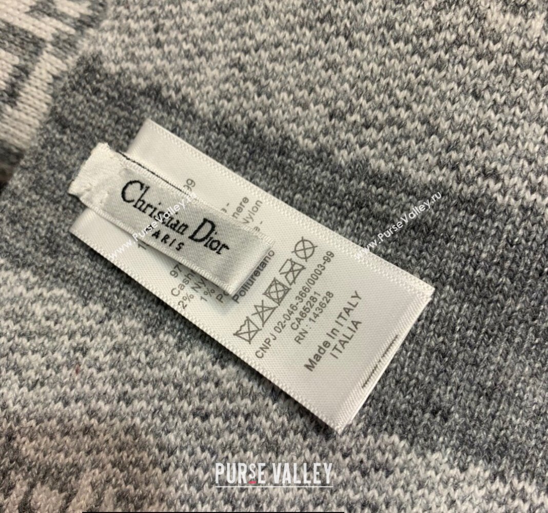 Dior Oblique Scarf in Gray Cashmere 35x200cm 2024 (weinisi-23121109)