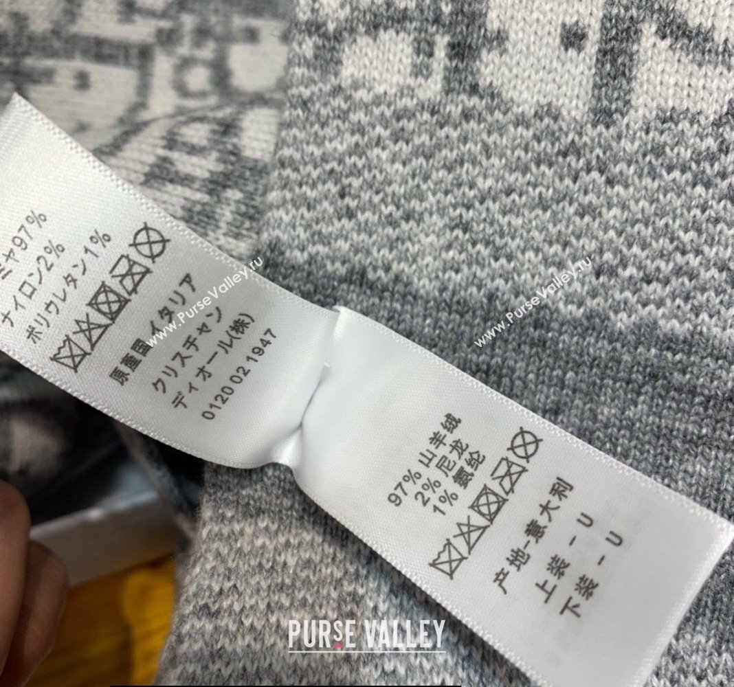 Dior Oblique Scarf in Gray Cashmere 35x200cm 2024 (weinisi-23121109)