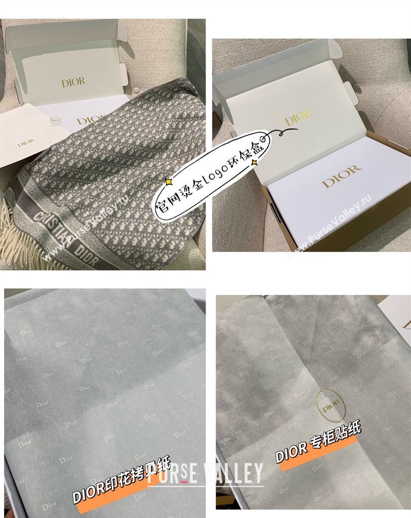 Dior Oblique Scarf in Gray Cashmere and Wool 45x200cm 2024 (weinisi-23121107)