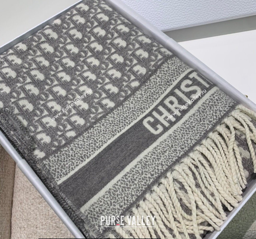 Dior Oblique Scarf in Gray Cashmere and Wool 45x200cm 2024 (weinisi-23121107)