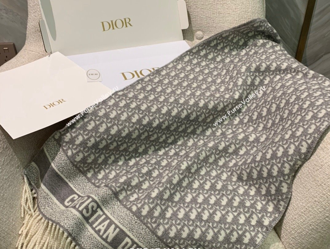 Dior Oblique Scarf in Gray Cashmere and Wool 45x200cm 2024 (weinisi-23121107)