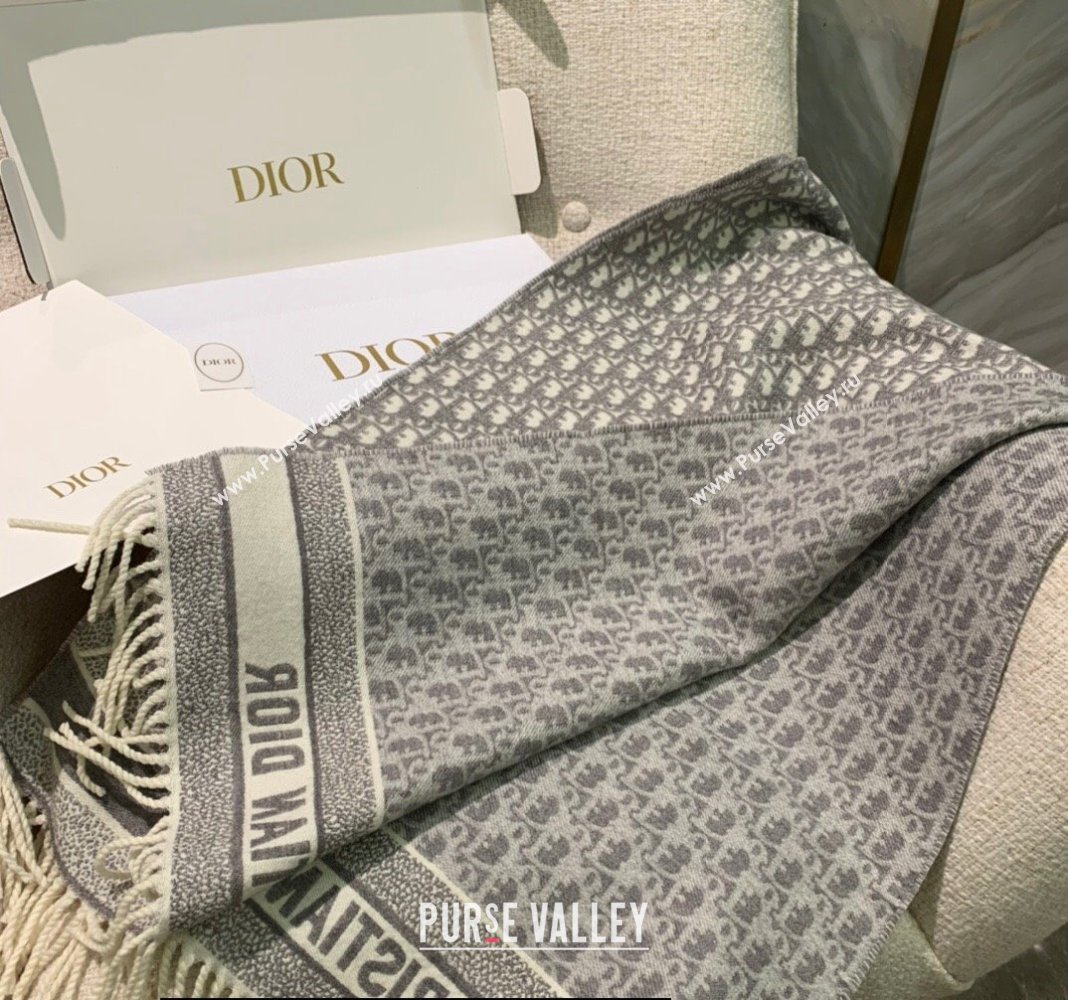 Dior Oblique Scarf in Gray Cashmere and Wool 45x200cm 2024 (weinisi-23121107)