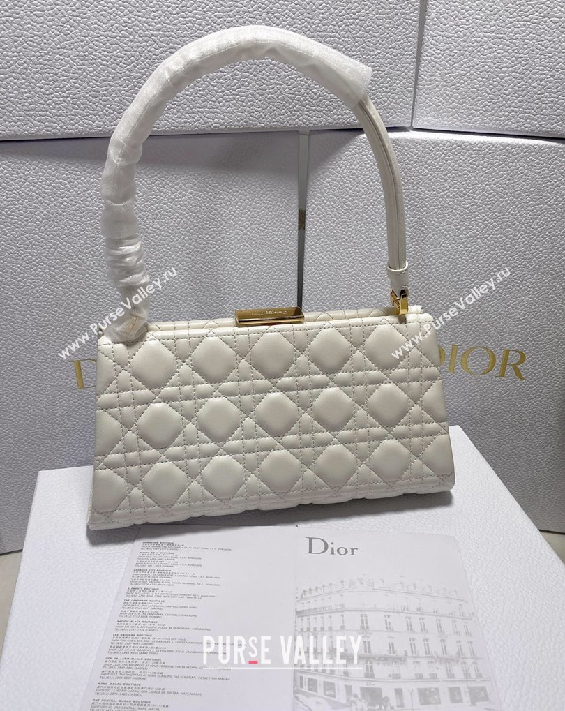 Dior Top Handle Bag in White Cannage Lambskin 2024 (xinyidai-23121211)