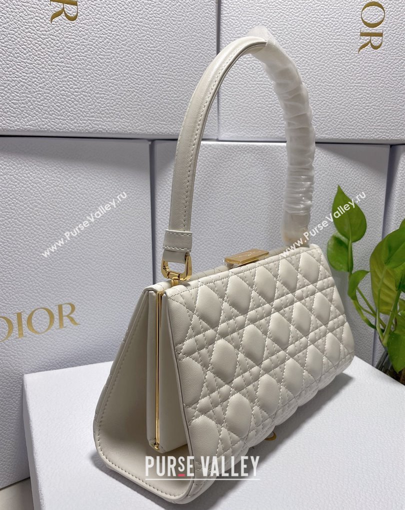 Dior Top Handle Bag in White Cannage Lambskin 2024 (xinyidai-23121211)
