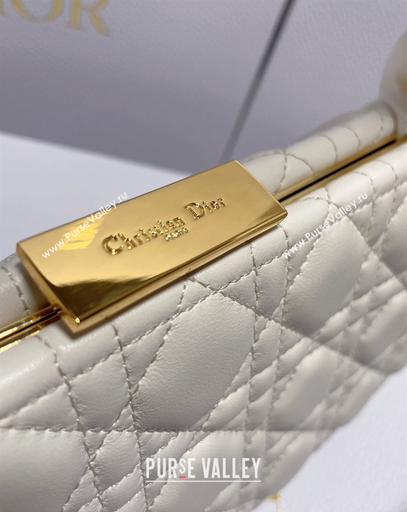 Dior Top Handle Bag in White Cannage Lambskin 2024 (xinyidai-23121211)