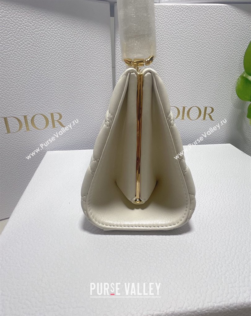 Dior Top Handle Bag in White Cannage Lambskin 2024 (xinyidai-23121211)
