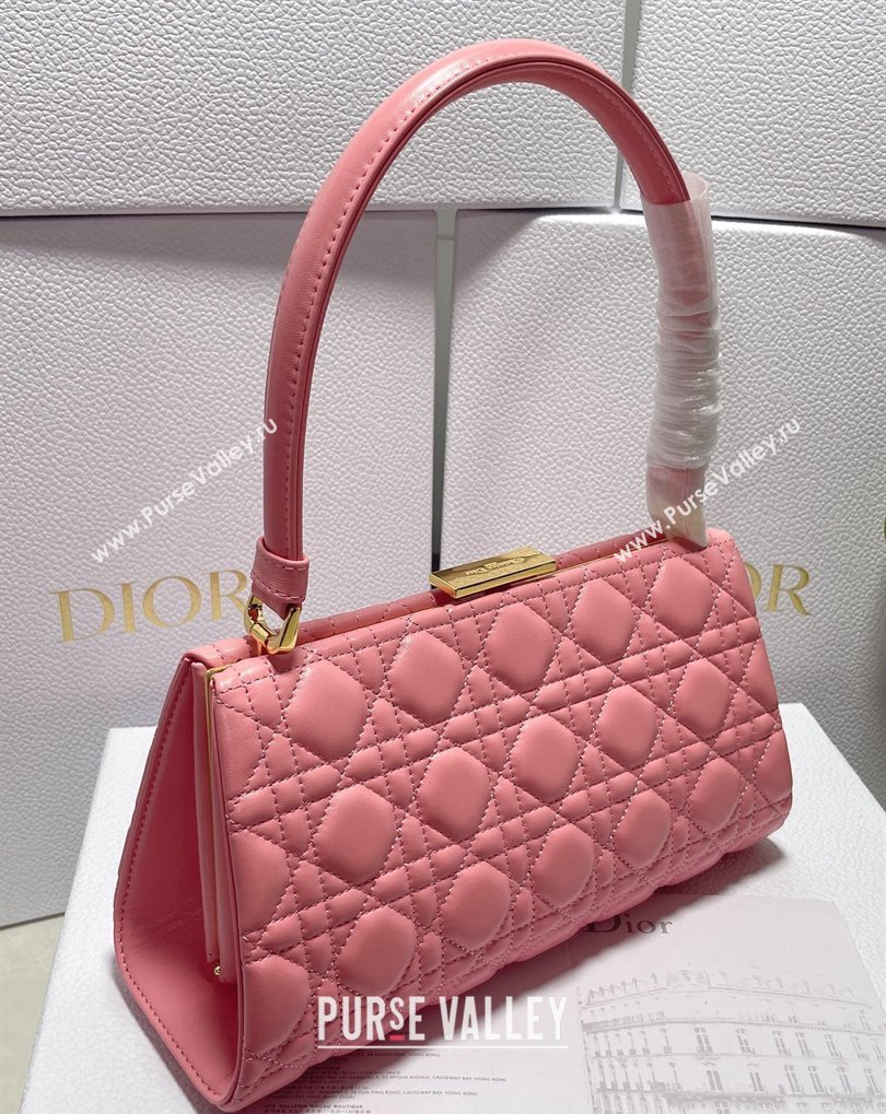 Dior Top Handle Bag in Pink Cannage Lambskin 2024 (xinyidai-23121212)