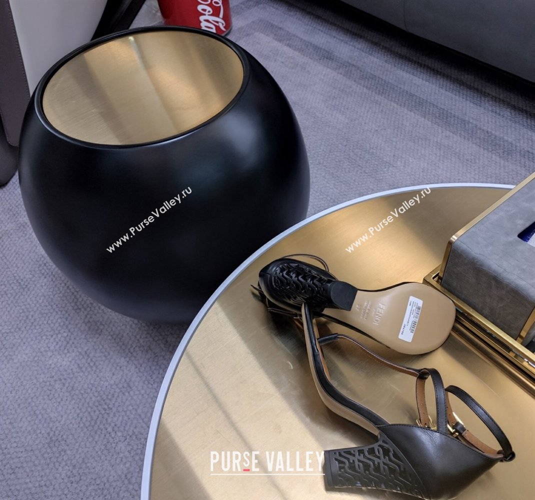 Fendi cut-out Heel 9cm Sandals in Leather Black 2024 (SS-23121321)