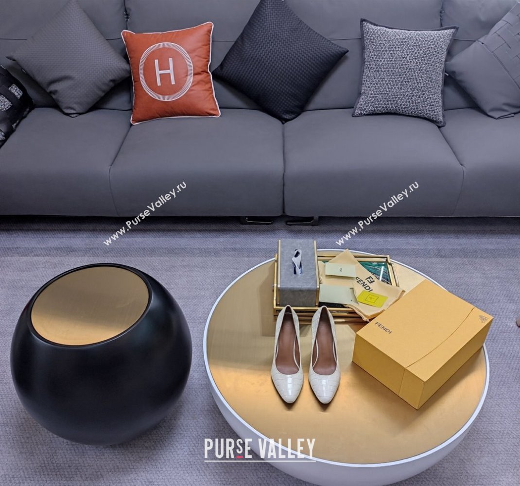 Fendi cut-out Heel 9cm Pumps in crocodile Print White 2024 (SS-23121322)