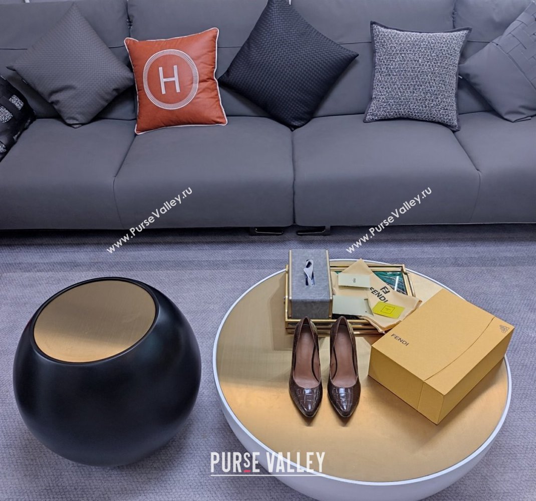 Fendi cut-out Heel 9cm Pumps in crocodile Print Coffee 2024 (SS-23121324)