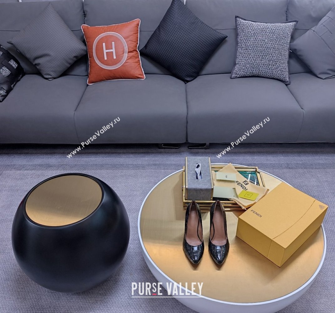 Fendi cut-out Heel 9cm Pumps in crocodile Print Black 2024 (SS-23121323)