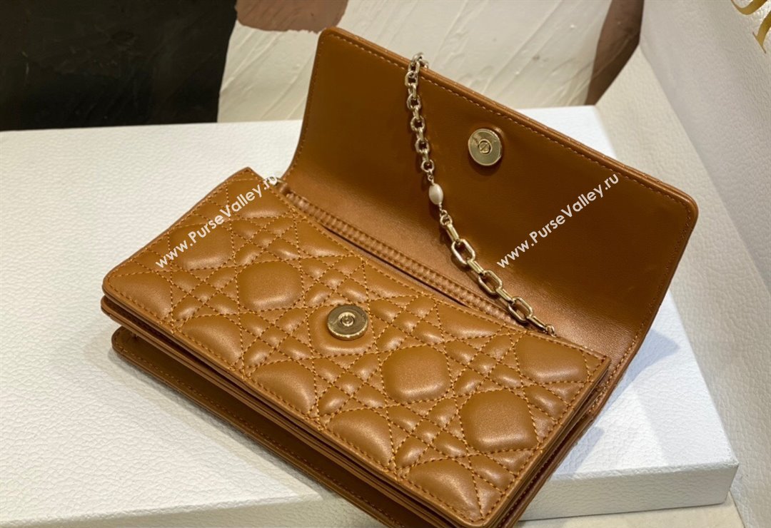 Miss Dior Mini Bag in Cannage Lambskin Brown with Removable jewel chain 2024 (XXG-23122013)
