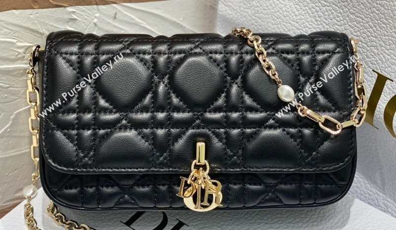 Lady Dior Phone Pouch Bag in Cannage Lambskin Black with Removable jewel chain 2024 (XXG-23122016)