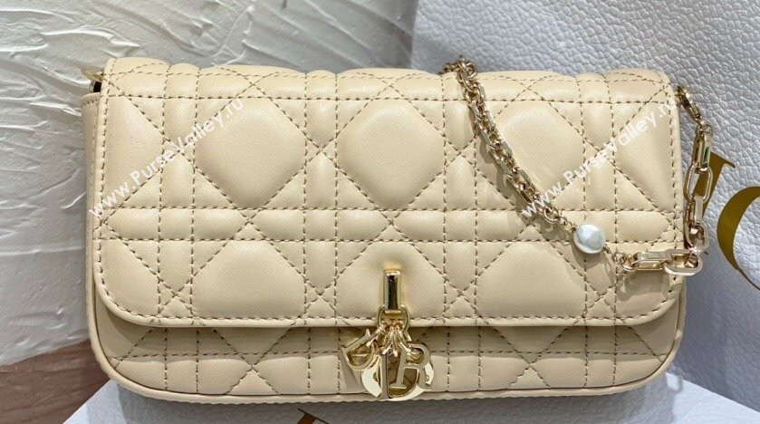 Lady Dior Phone Pouch Bag in Cannage Lambskin Beige with Removable jewel chain 2024 (XXG-23122018)