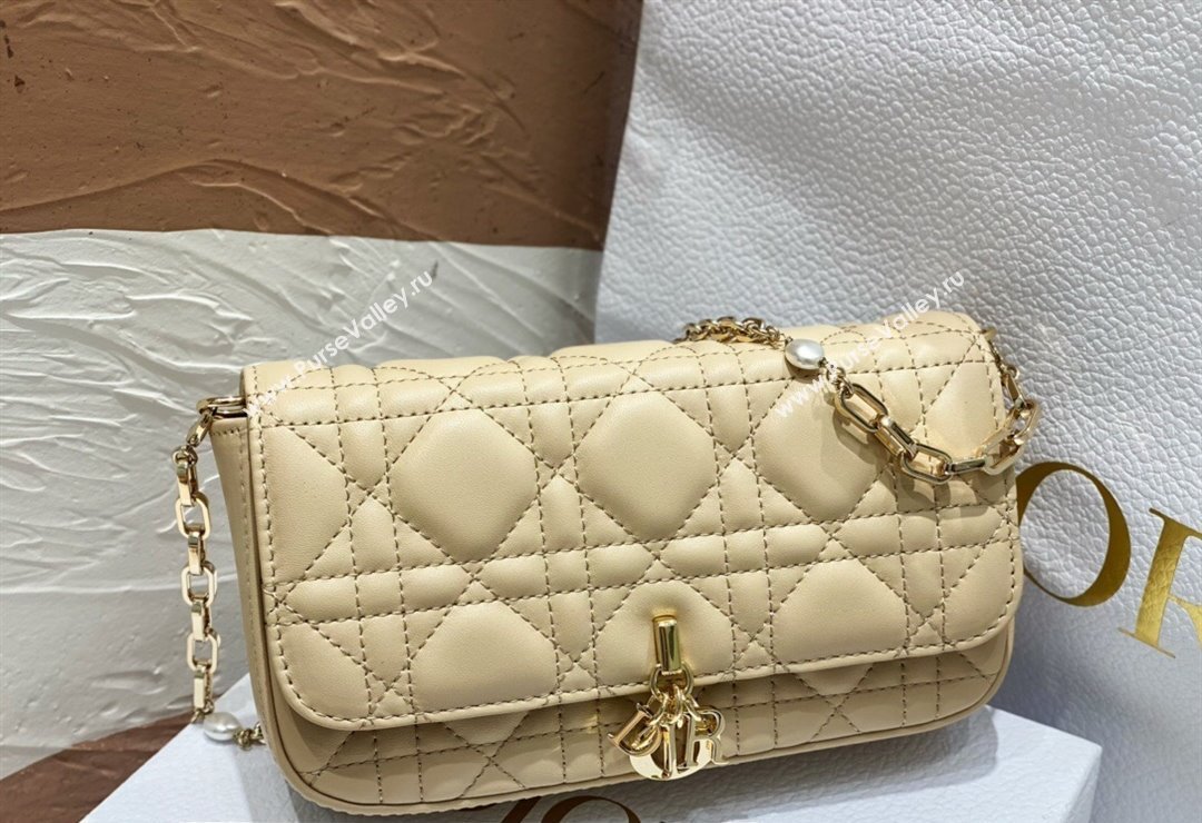 Lady Dior Phone Pouch Bag in Cannage Lambskin Beige with Removable jewel chain 2024 (XXG-23122018)