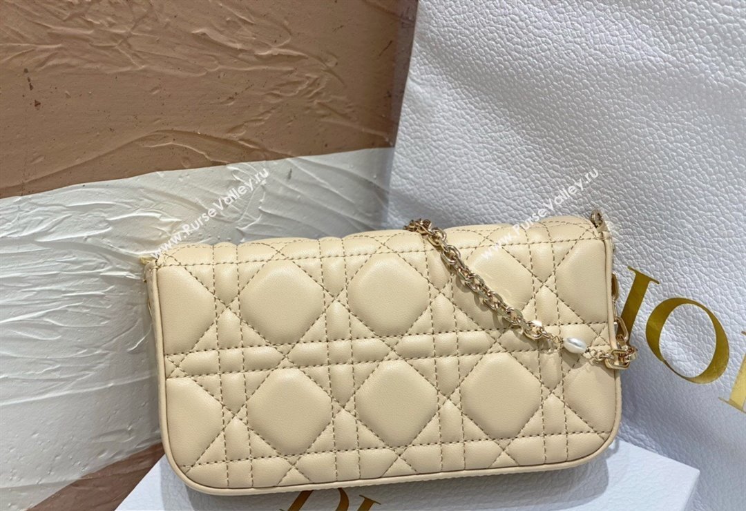 Lady Dior Phone Pouch Bag in Cannage Lambskin Beige with Removable jewel chain 2024 (XXG-23122018)