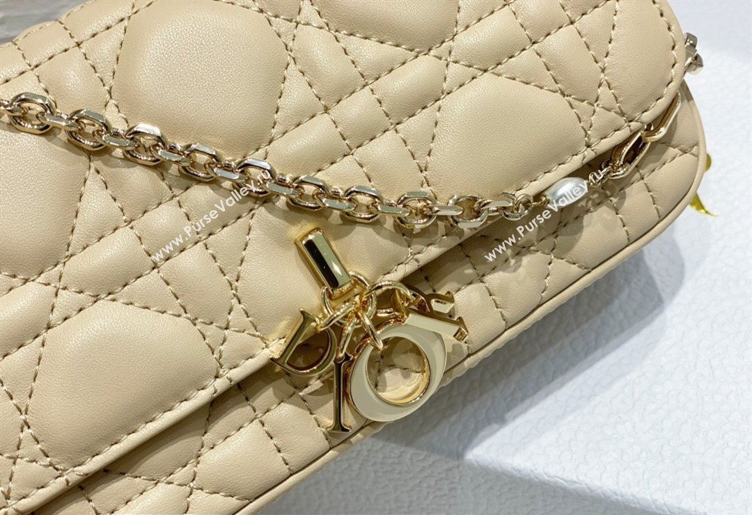 Lady Dior Phone Pouch Bag in Cannage Lambskin Beige with Removable jewel chain 2024 (XXG-23122018)