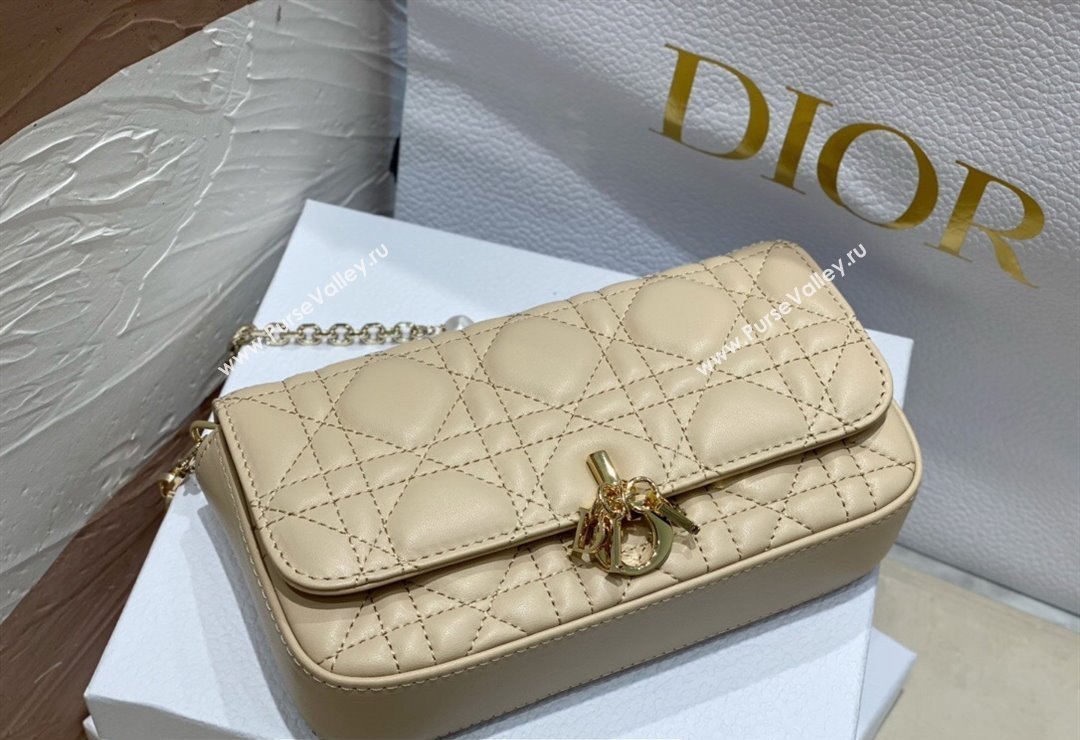 Lady Dior Phone Pouch Bag in Cannage Lambskin Beige with Removable jewel chain 2024 (XXG-23122018)