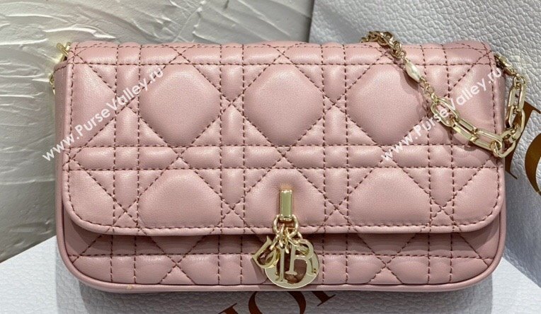 Lady Dior Phone Pouch Bag in Cannage Lambskin Pink with Removable jewel chain 2024 (XXG-23122019)