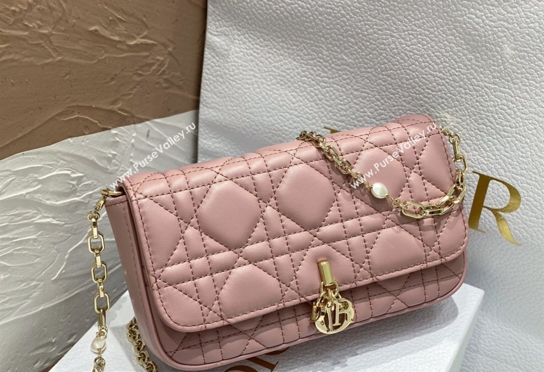Lady Dior Phone Pouch Bag in Cannage Lambskin Pink with Removable jewel chain 2024 (XXG-23122019)