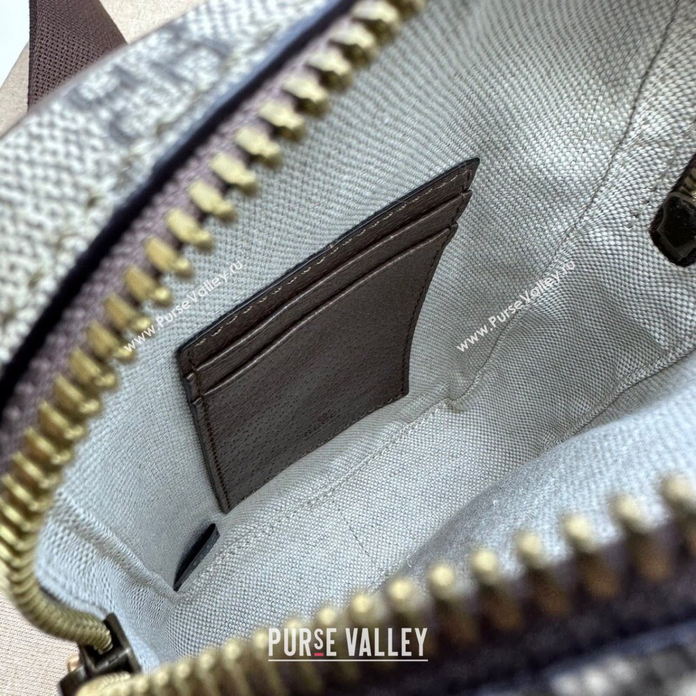 Gucci Ophidia GG mini bag with Web 752565 beige and ebony Supreme 2024 (dlh-23122237)