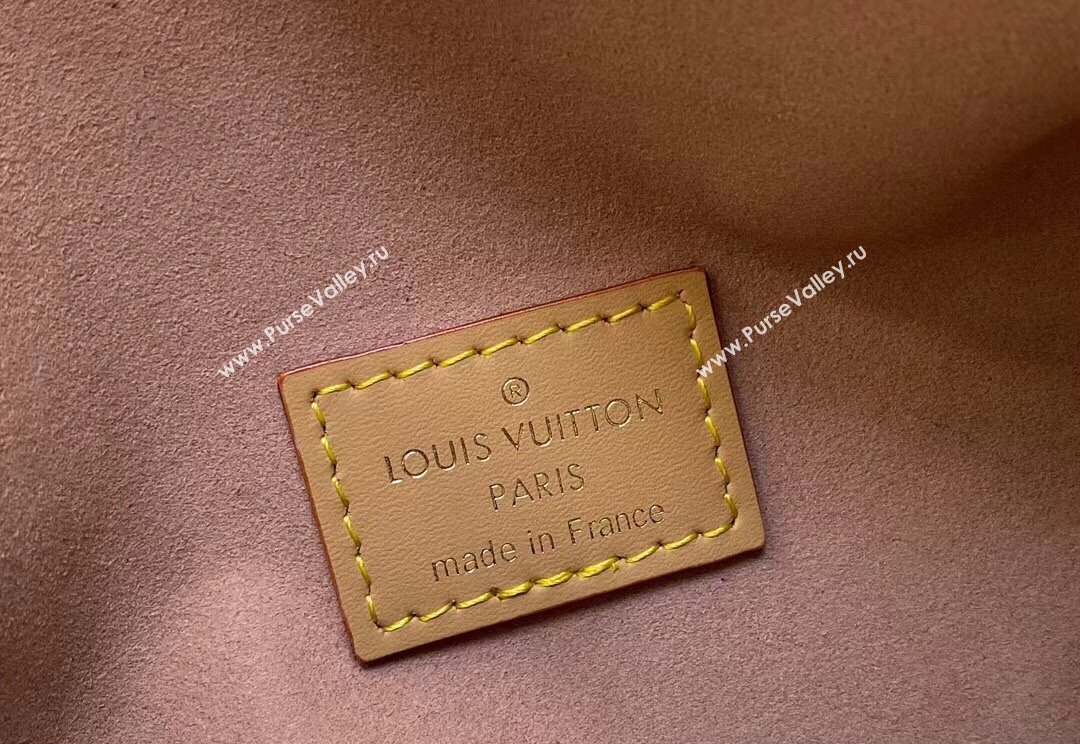 Louis Vuitton Monogram canvas Side Trunk Bag M46907 2024 (kiki-23122303)