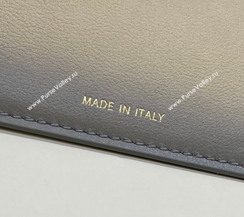 Fendi Peekaboo ISEEU Medium Bag Graduated Gray (chaoliu-23122702)