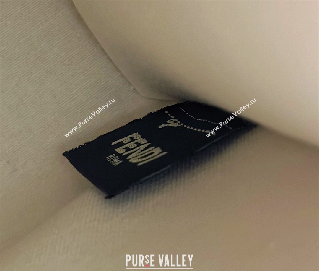 Fendi Sunshine Mini Sunshine Shopper Bag Canvas/Leather Brown (chaoliu-23122716)