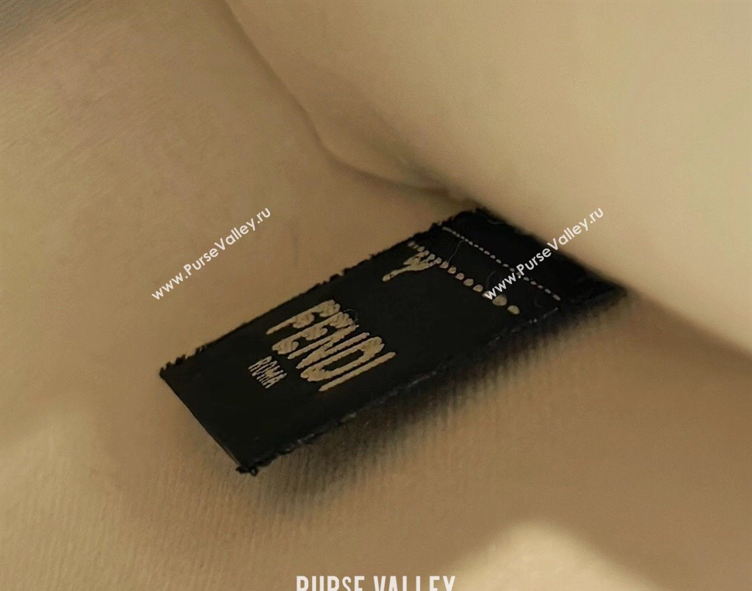 Fendi Sunshine Mini Sunshine Shopper Bag Canvas/Leather Black (chaoliu-23122715)