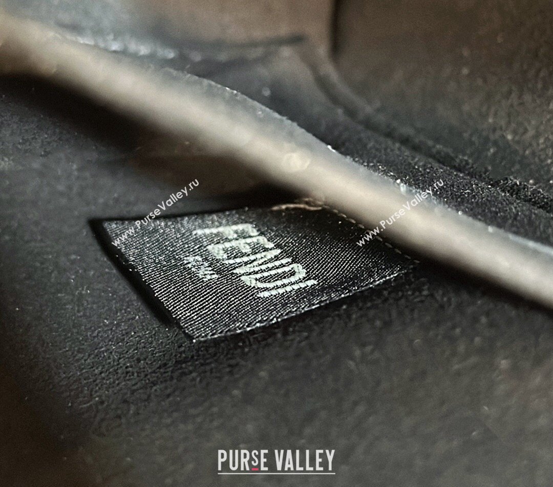 Fendi Boston 365 Bag in Black leather 2024 (chaoliu-23122746)