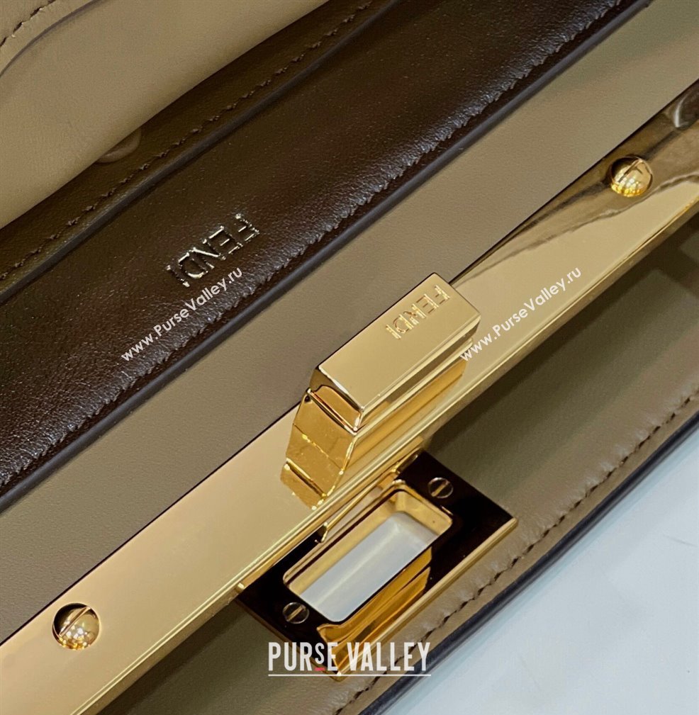 Fendi Peekaboo ISEEU East-West Bag Graduated Coffee (chaoliu-23122706)