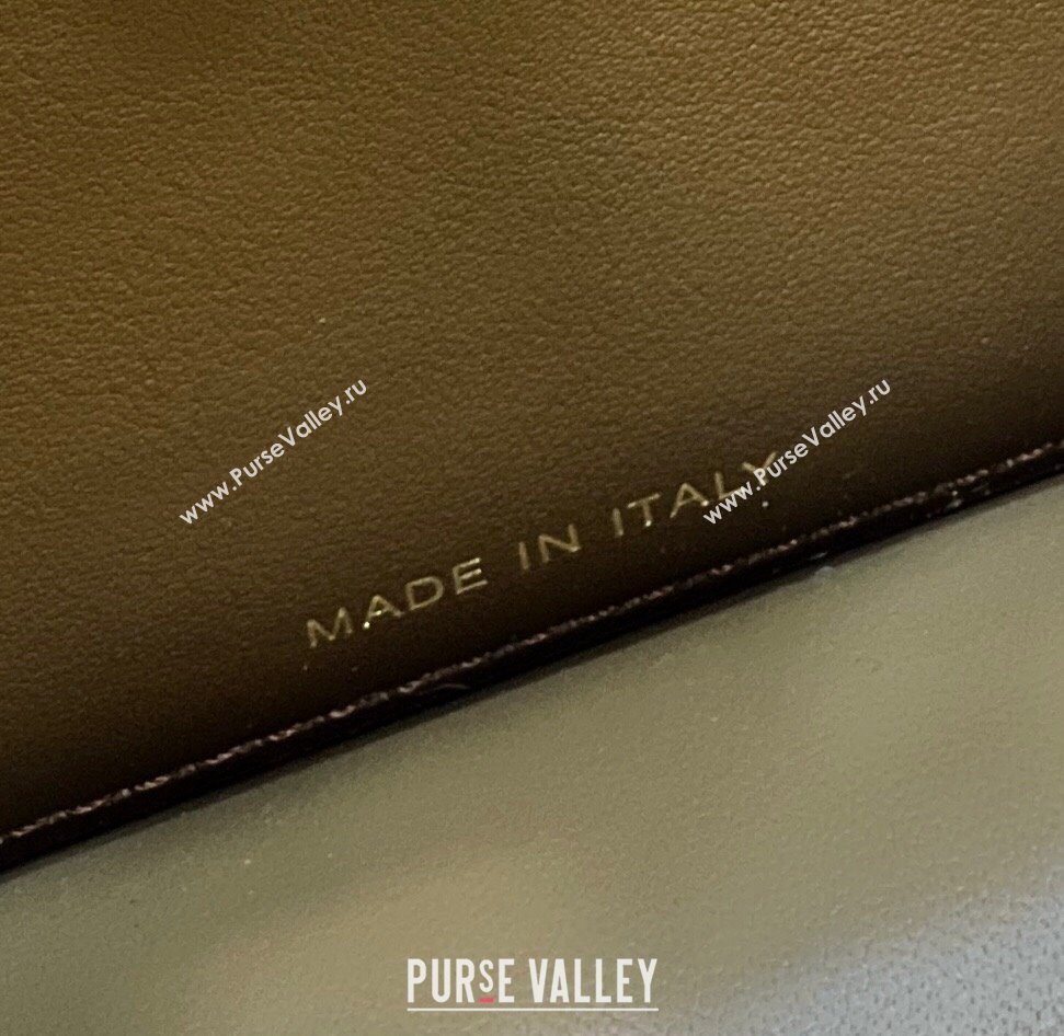 Fendi Peekaboo ISEEU East-West Bag Graduated Coffee (chaoliu-23122706)