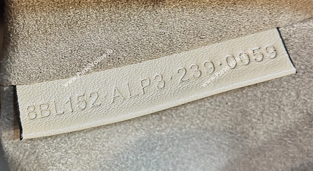 Fendi Boston 365 Bag in Dove gray leather 2024 (chaoliu-23122748)