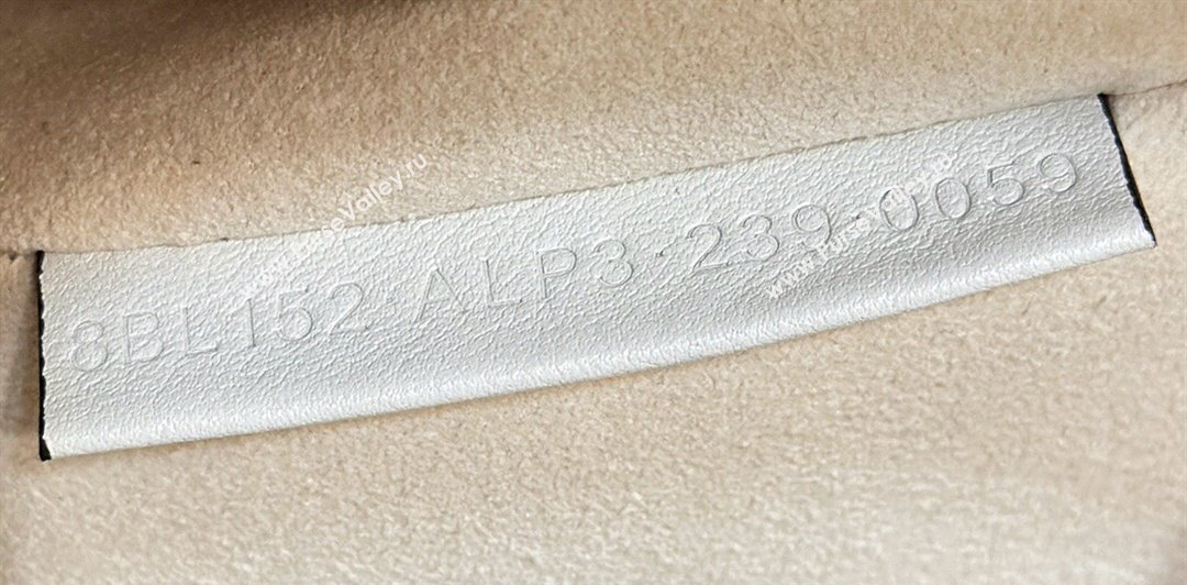 Fendi Boston 365 Bag in White leather 2024 (chaoliu-23122747)