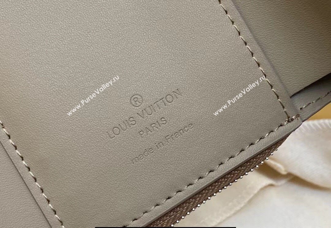 Louis Vuitton Cowhide leather Aerogram Slender Pilot Wallet M82410 Sage 2024 (kiki-23122608)