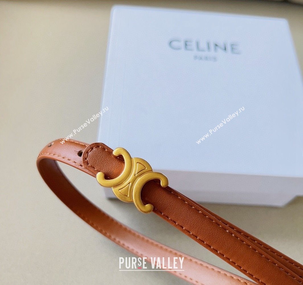 Celine 1.5cm TEEN Triomphe Belt 17 (99belt-231228n17)