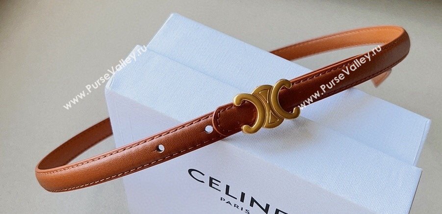 Celine 1.5cm TEEN Triomphe Belt 17 (99belt-231228n17)