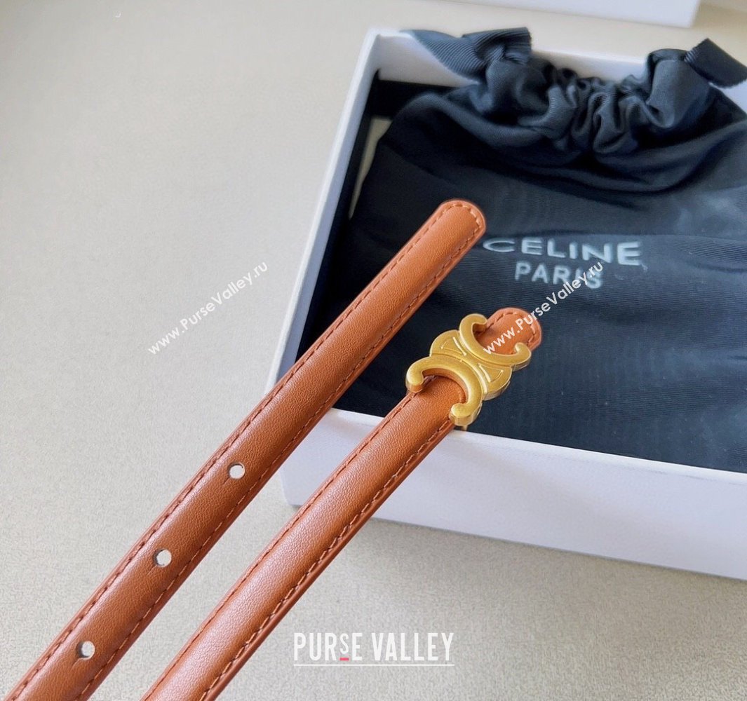 Celine 1.5cm TEEN Triomphe Belt 17 (99belt-231228n17)