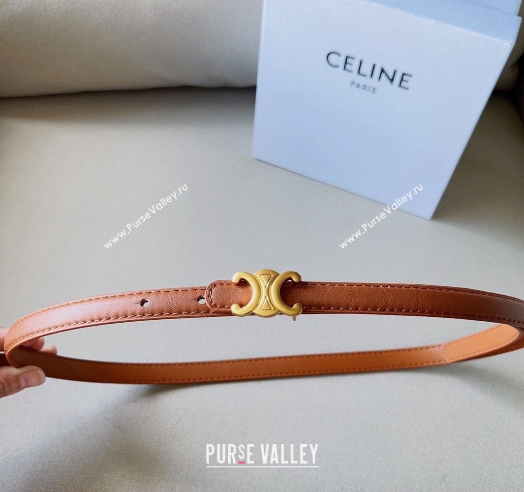Celine 1.5cm TEEN Triomphe Belt 17 (99belt-231228n17)