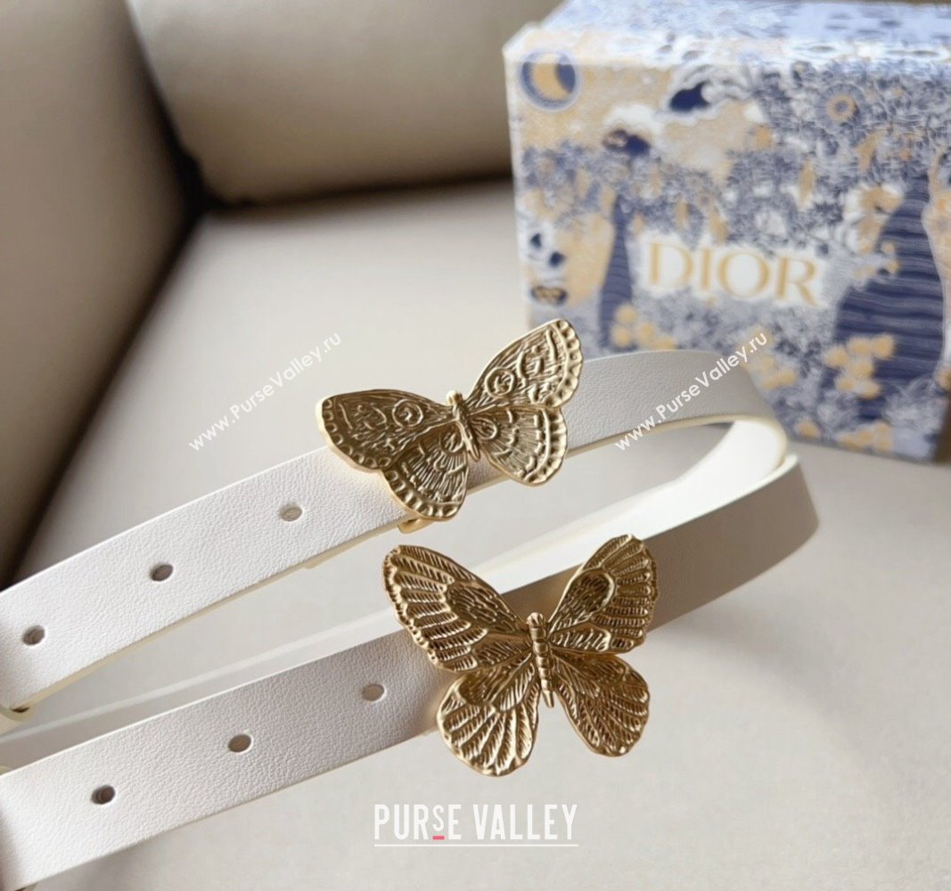 Dior Width 2cm Métamorphose Belt in Ultrasmooth Calfskin 03 (99belt-231228c43)