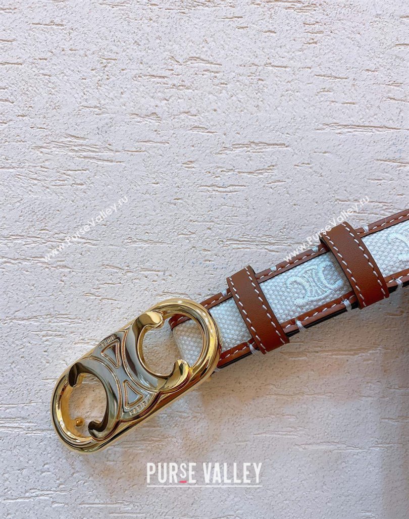 Celine 2.5cm Medium Triomphe Belt in TEXTILE WITH TRIOMPHE ALL-OVER AND CALFSKIN 03 (99belt-23122878)