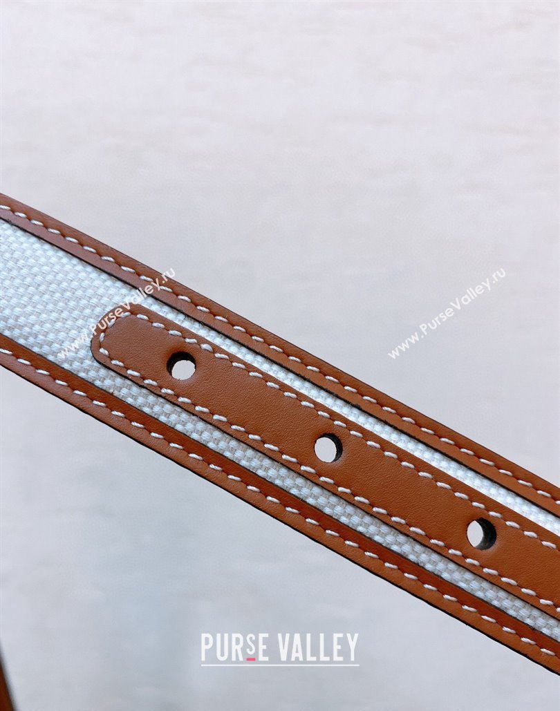 Celine 2.5cm Medium Triomphe Belt in TEXTILE WITH TRIOMPHE ALL-OVER AND CALFSKIN 03 (99belt-23122878)
