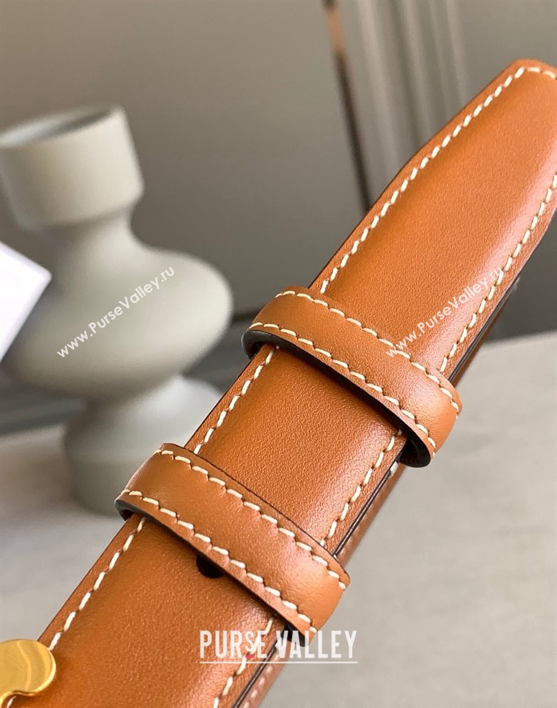 Celine 2.5cm Medium Triomphe Belt 17 (99belt-23122867)
