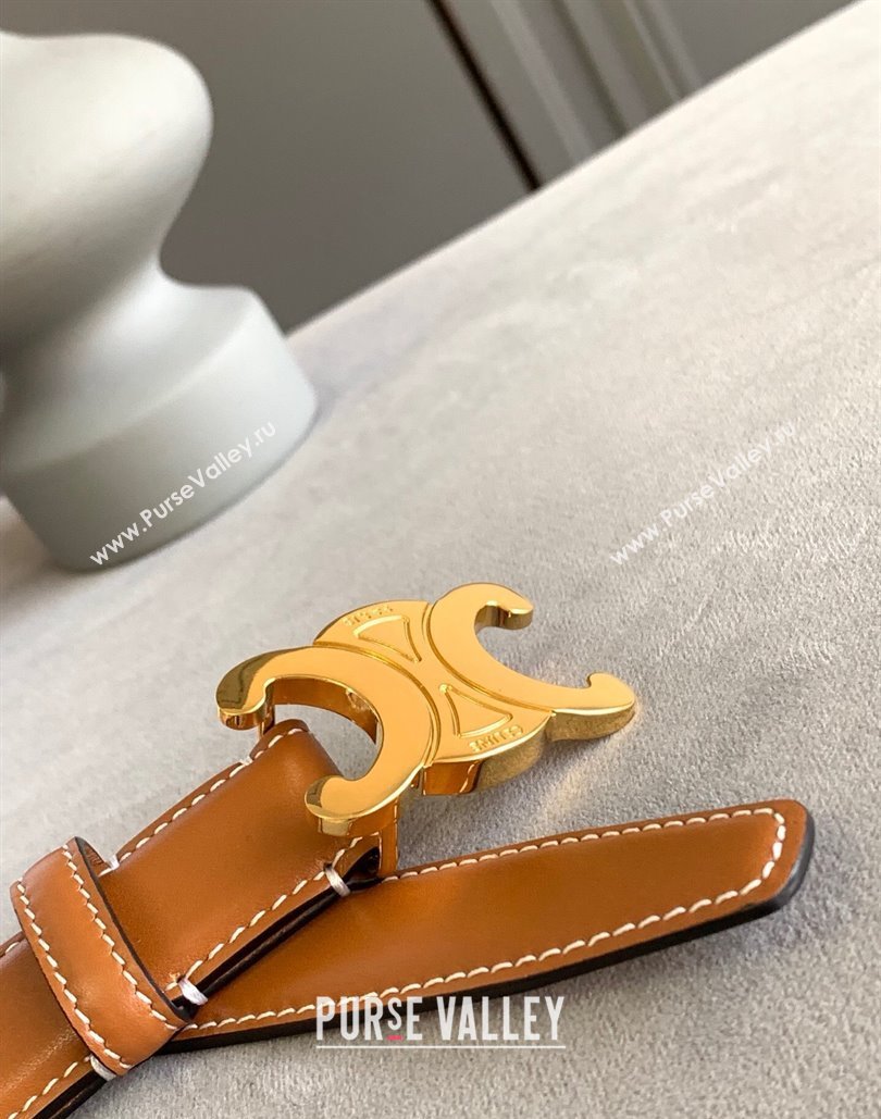 Celine 2.5cm Medium Triomphe Belt 17 (99belt-23122867)