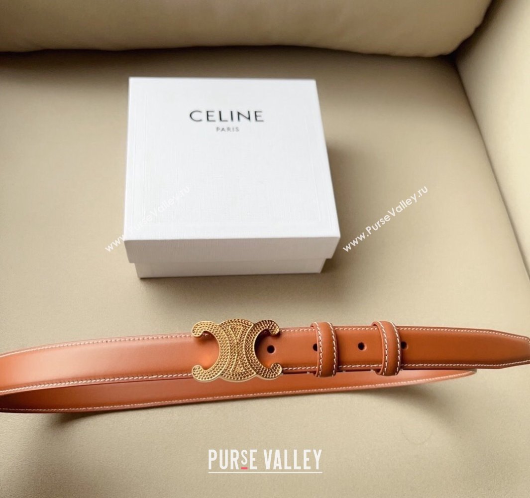 Celine 2.5cm Medium Triomphe Belt 03 (99belt-23122853)