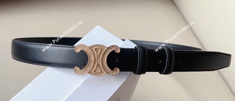 Celine 2.5cm Medium Triomphe Belt 07 (99belt-23122857)