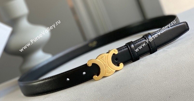 Celine 2.5cm Medium Triomphe Belt 16 (99belt-23122866)